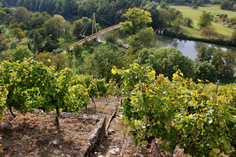 Осенний марафон 2021 г.