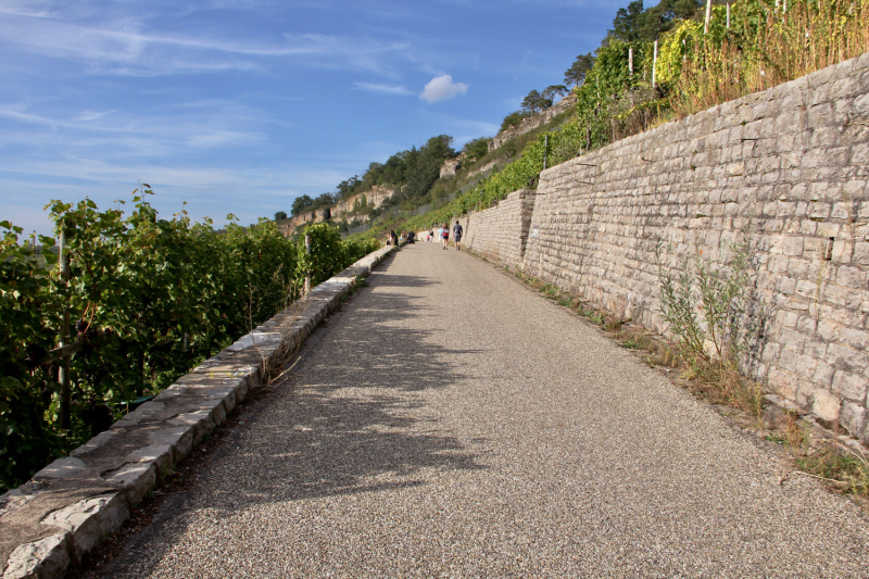 Осенний марафон 2021 г.