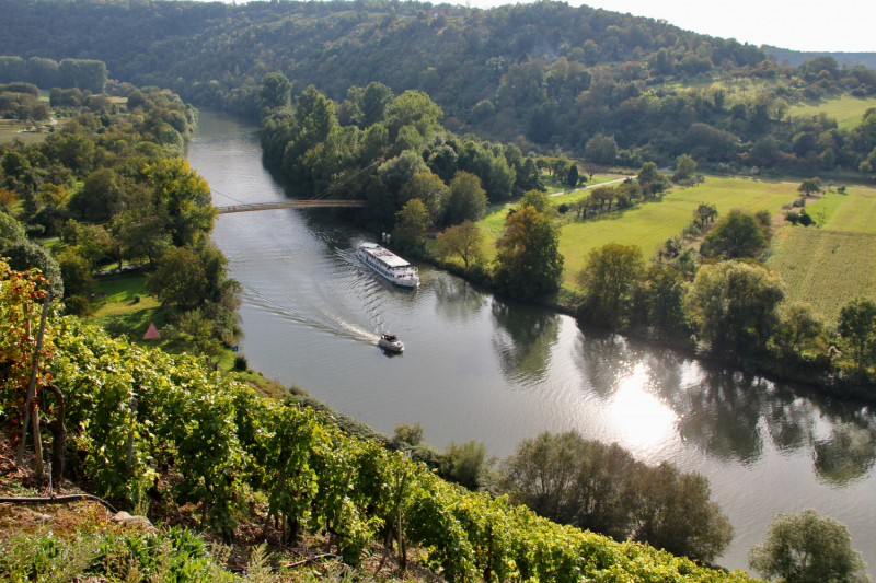 Осенний марафон 2021 г.