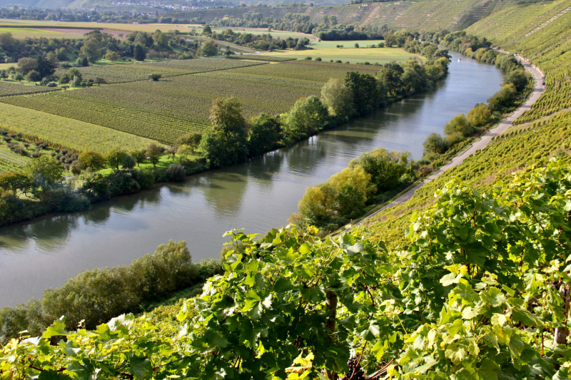 Осенний марафон 2021 г.