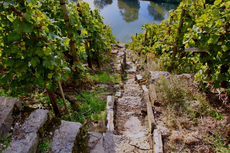 Осенний марафон 2021 г.