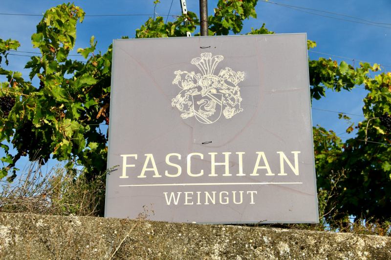 Осенний марафон 2021 г.