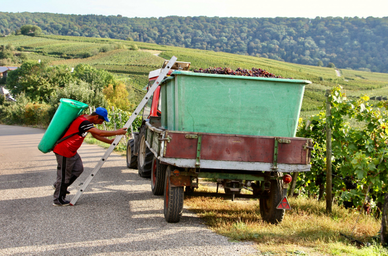 Осенний марафон 2021 г.