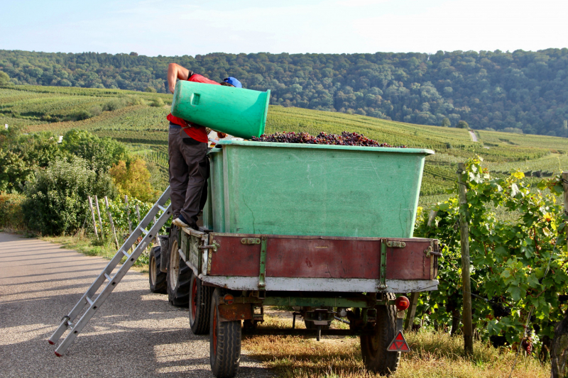 Осенний марафон 2021 г.