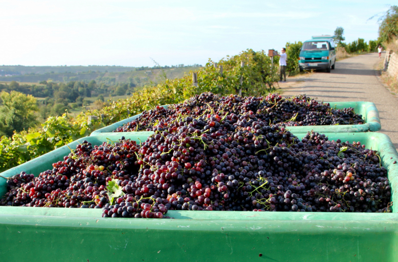 Осенний марафон 2021 г.