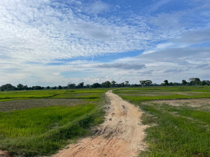 Поттувиль-Кумана