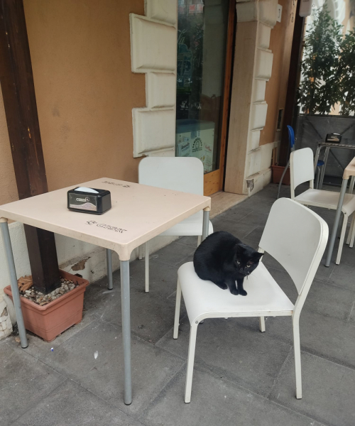 La mia vita. Римские записки, дневник онлайн