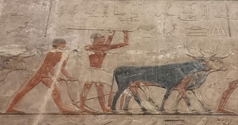 План длинной в треть жизни_Исторический Египет в одиночку+Дахаб_2022
