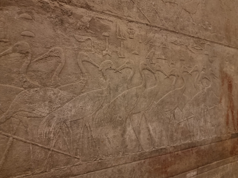 План длинной в треть жизни_Исторический Египет в одиночку+Дахаб_2022