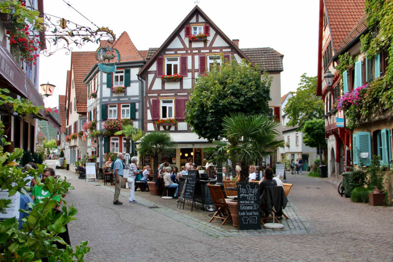 Осенний марафон 2021 г.