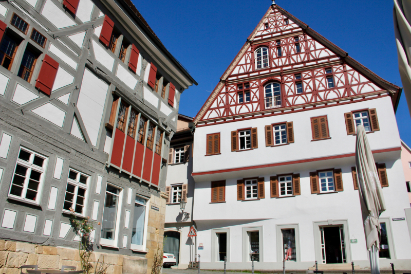 Осенний марафон 2021 г.