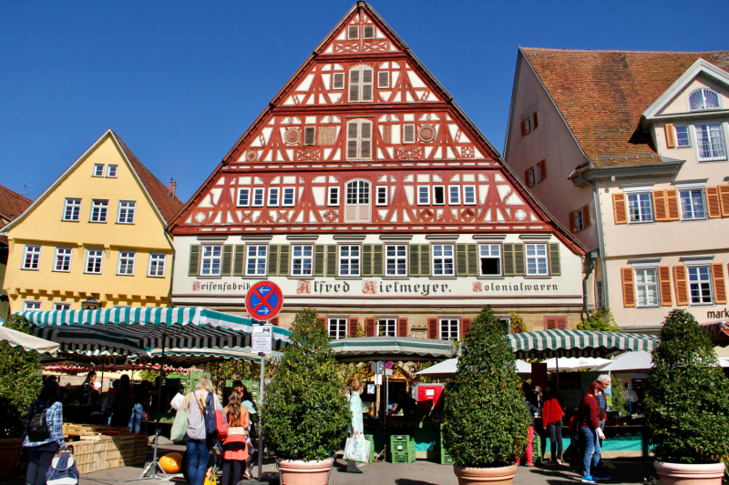 Осенний марафон 2021 г.