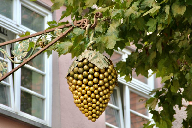 Осенний марафон 2021 г.