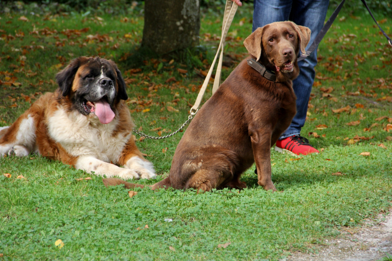 Осенний марафон 2021 г.