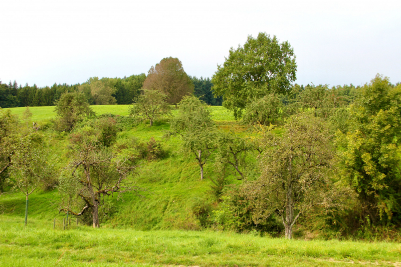 Осенний марафон 2021 г.