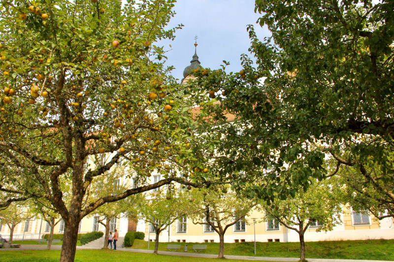 Осенний марафон 2021 г.