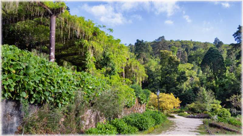 Bussaco