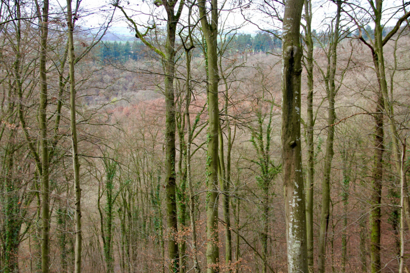 Осенний марафон 2021 г.