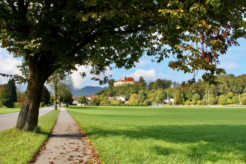 Осенний марафон 2021 г.