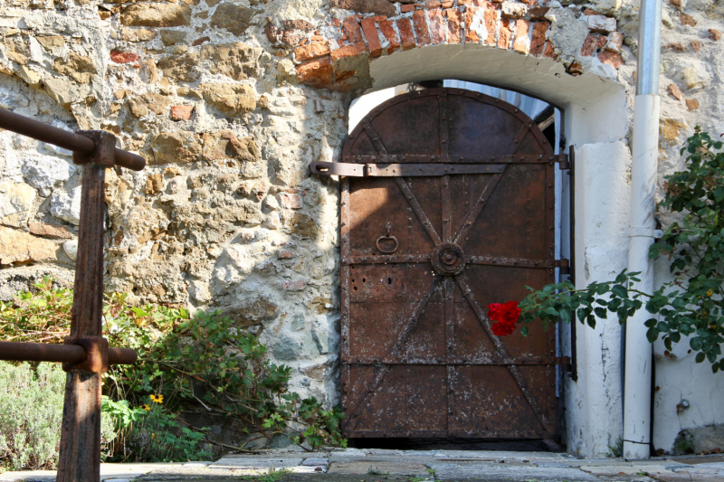 Осенний марафон 2021 г.