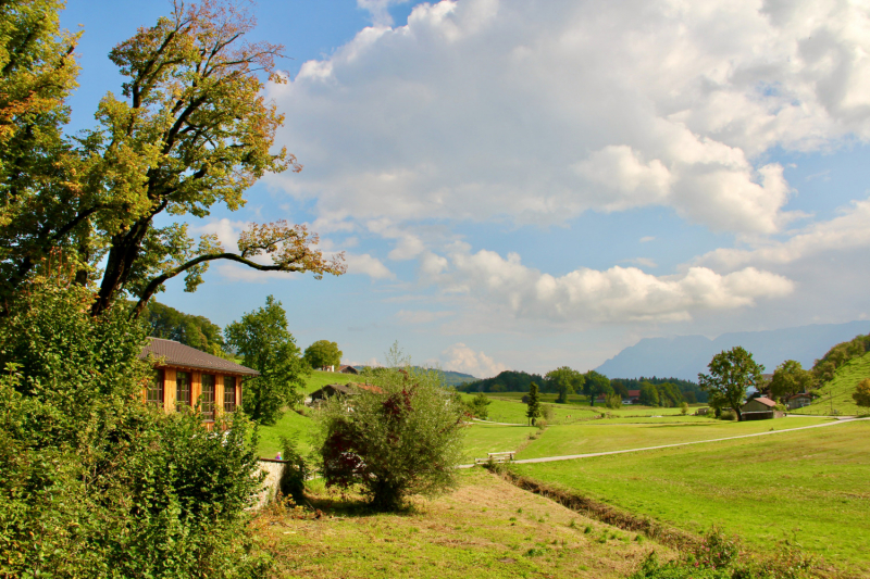 Осенний марафон 2021 г.