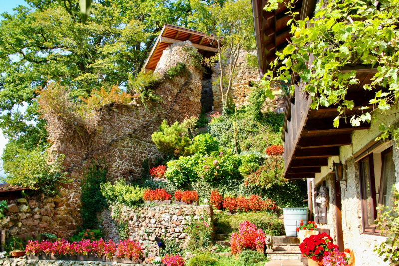 Осенний марафон 2021 г.