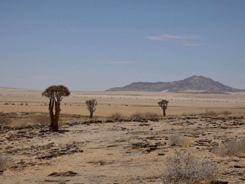 Намибия - 11 дней в декабре (дневник путешествия)