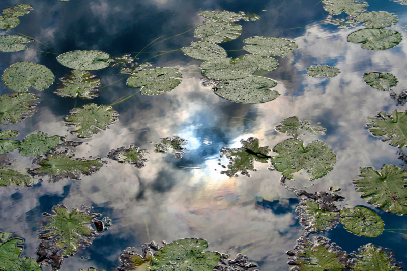 Осенний марафон 2021 г.