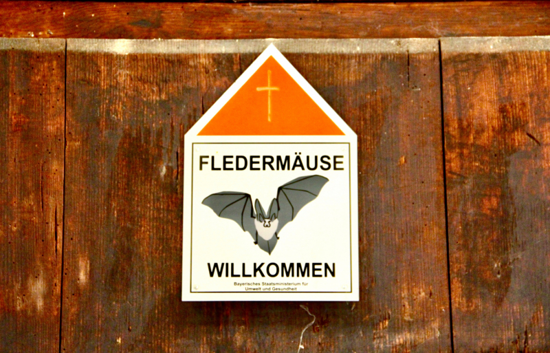 Осенний марафон 2021 г.