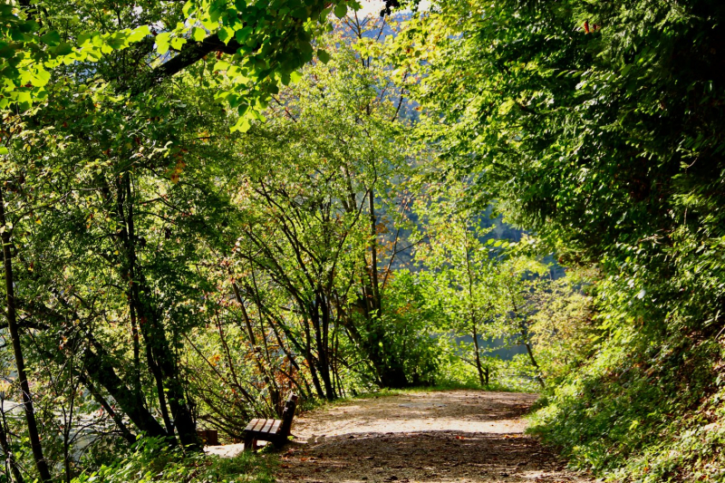 Осенний марафон 2021 г.