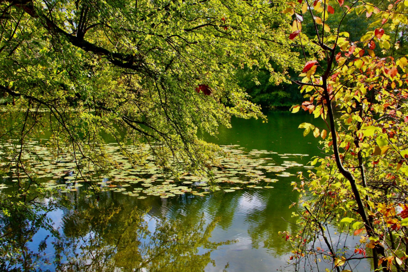 Осенний марафон 2021 г.