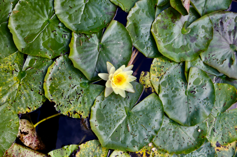 Осенний марафон 2021 г.