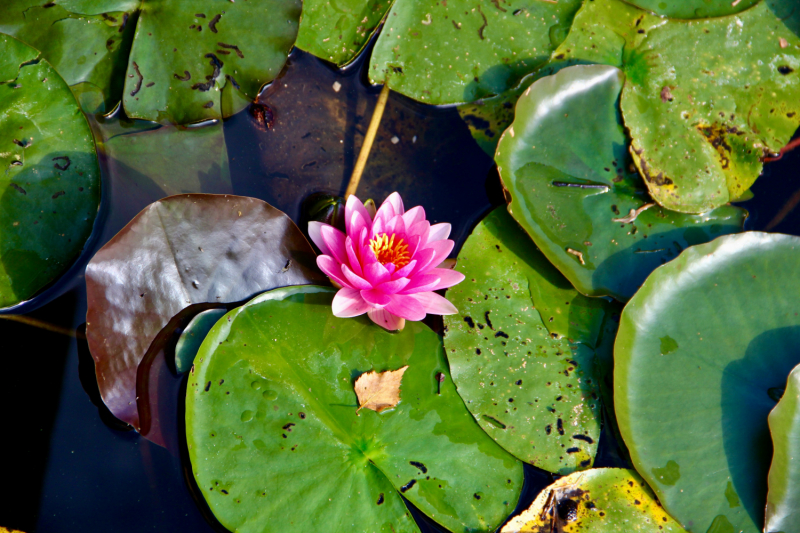 Осенний марафон 2021 г.