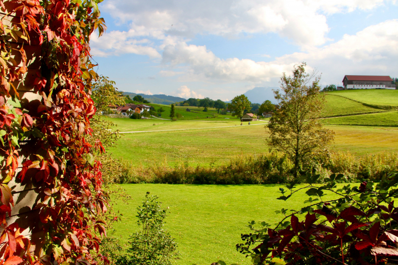 Осенний марафон 2021 г.