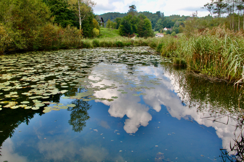 Осенний марафон 2021 г.