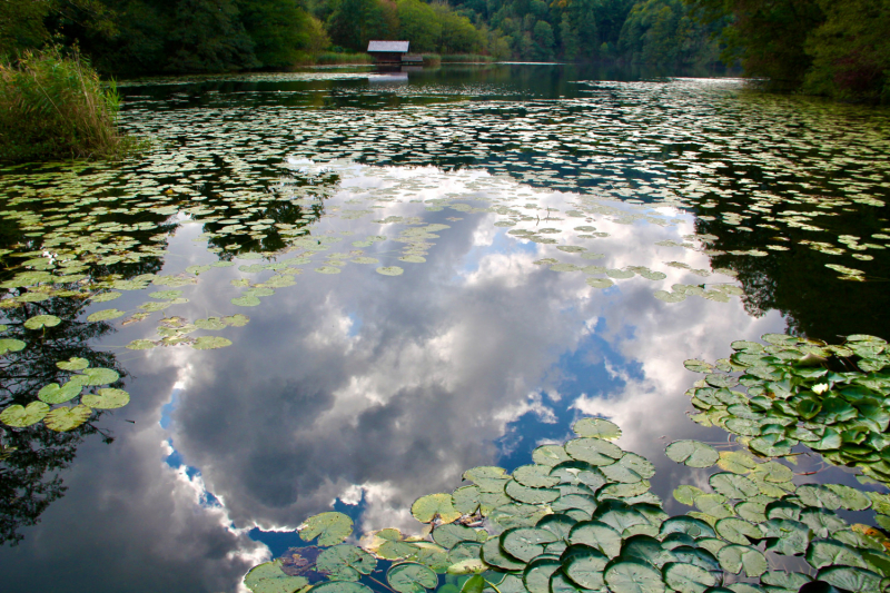 Осенний марафон 2021 г.