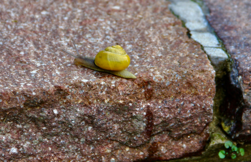 Осенний марафон 2021 г.