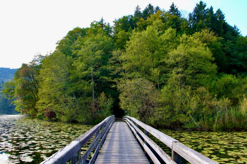 Осенний марафон 2021 г.