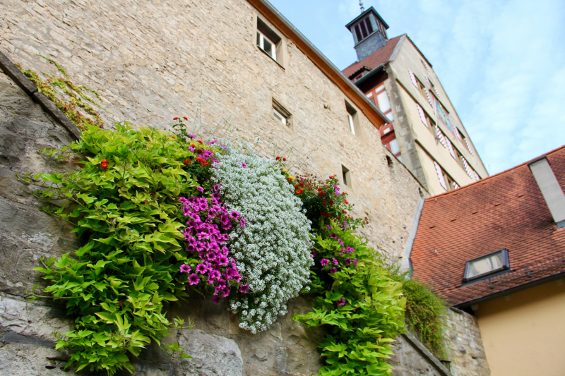 Осенний марафон 2021 г.