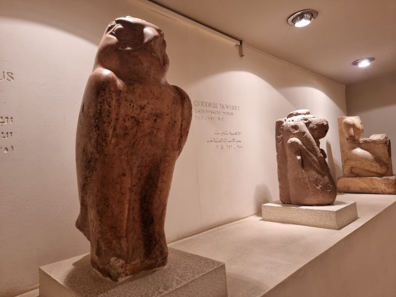 План длинной в треть жизни_Исторический Египет в одиночку+Дахаб_2022