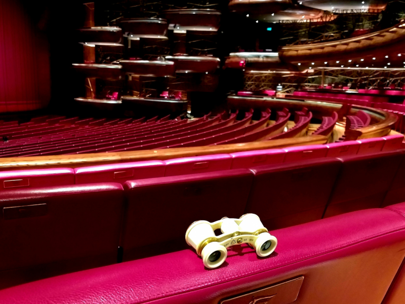 В Оперу на "Опере". Круиз MSC Opera по Персидскому заливу в январе 2023