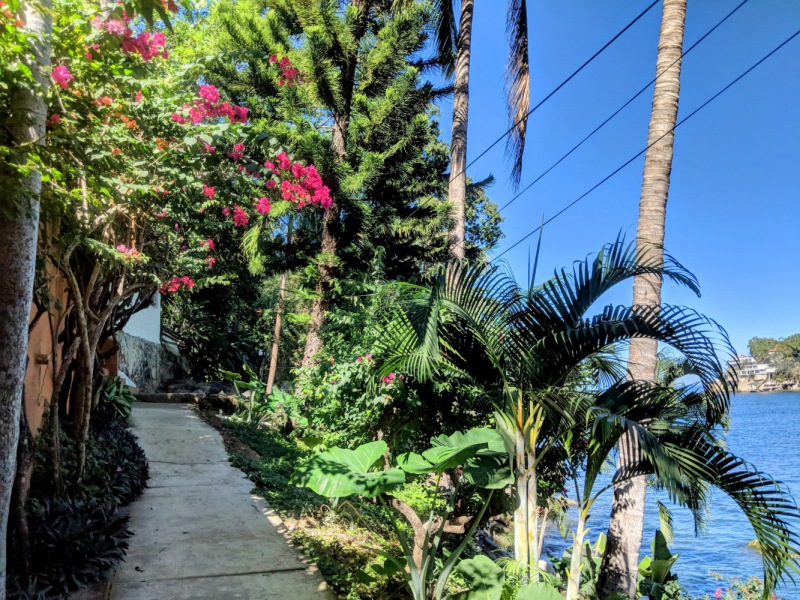 Puerto Vallarta, тихоокеанское побережье Мексики. Белое пятно на сайте Винского.