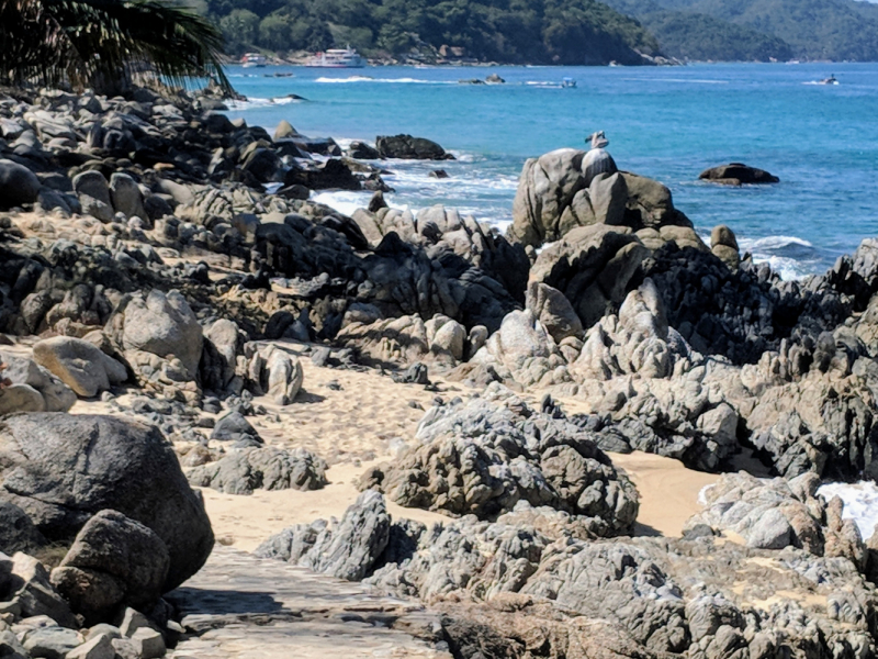 Puerto Vallarta, тихоокеанское побережье Мексики. Белое пятно на сайте Винского.