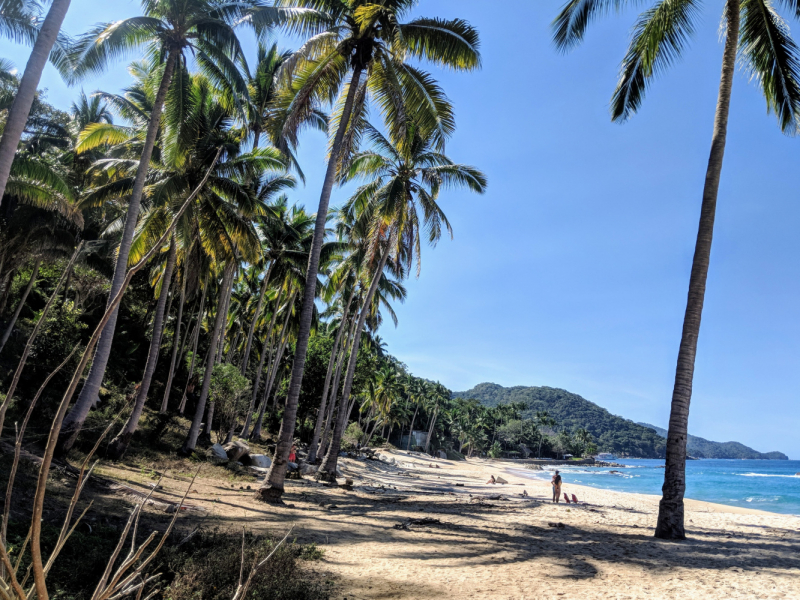 Puerto Vallarta, тихоокеанское побережье Мексики. Белое пятно на сайте Винского.