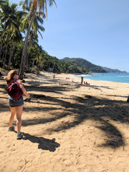 Puerto Vallarta, тихоокеанское побережье Мексики. Белое пятно на сайте Винского.