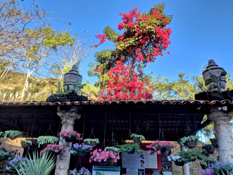 Puerto Vallarta, тихоокеанское побережье Мексики. Белое пятно на сайте Винского.