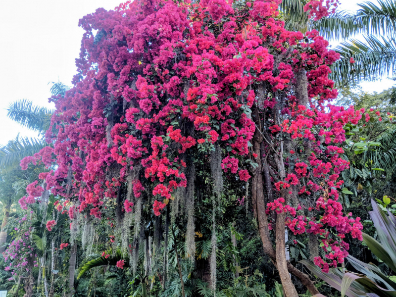 Puerto Vallarta, тихоокеанское побережье Мексики. Белое пятно на сайте Винского.