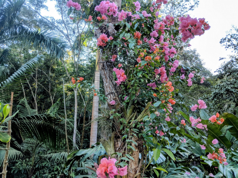 Puerto Vallarta, тихоокеанское побережье Мексики. Белое пятно на сайте Винского.