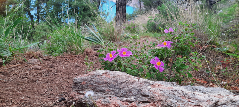 Парадайз - Кабак