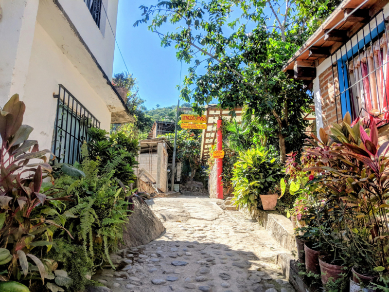 Puerto Vallarta, тихоокеанское побережье Мексики. Белое пятно на сайте Винского.